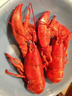 Красные морепродукты