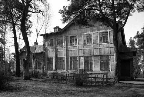 Школы сестрорецка курортного
