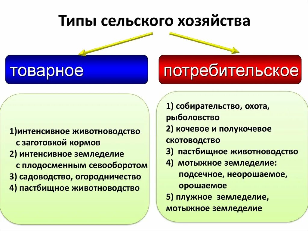 Какой тип хозяйства. Схема сельское хозяйство товарные потребительское. Типы сельского хозяйства. Товарное и потребительское сельское хозяйство. Типы сельского хозяйства схема.