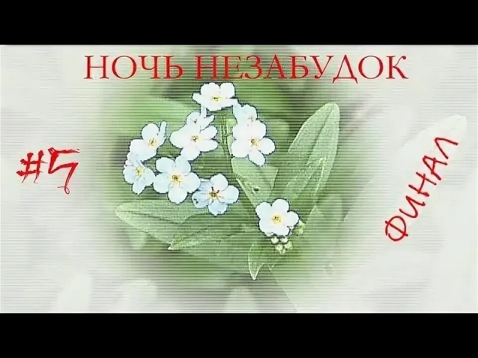 Ночь незабудок новелла. Ночь незабудок