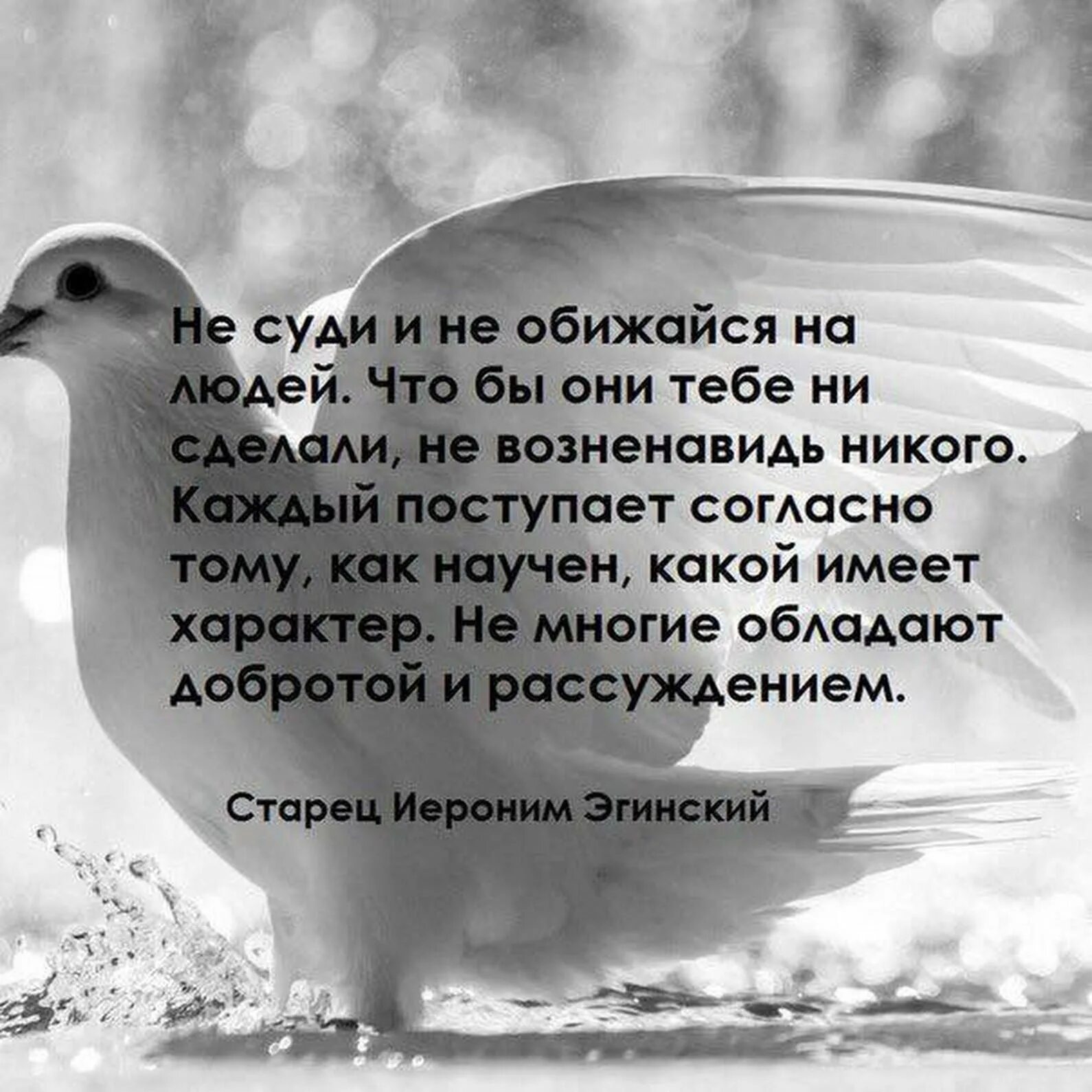 Есть слово обидься. Афоризмы про мудрость. Мудрость жизни. Мудрые изречения.