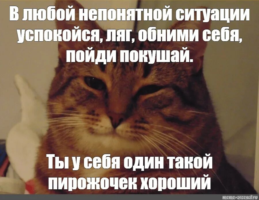 В любой непонятной ситуации. В любой непонятной ситуации ляг, обними себя. В любой непонятной ситуации успокойся обними себя. В любой непонятной ситуации кот. Успокоятся или успокоются