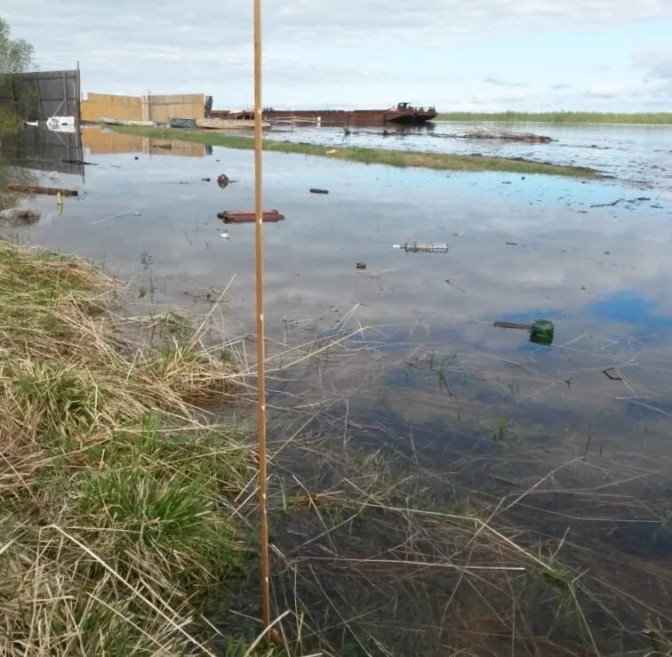 Уровень воды в реках коми на сегодня. Уровень реки Печора в Усть Цильме. Уровень воды в реках Коми Усть-Цильма. Уровень воды в Коми. Уровень воды Цильма.