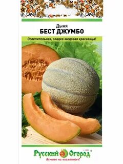 Дыня джумбо