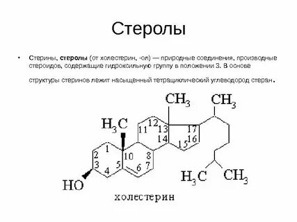 Стерины