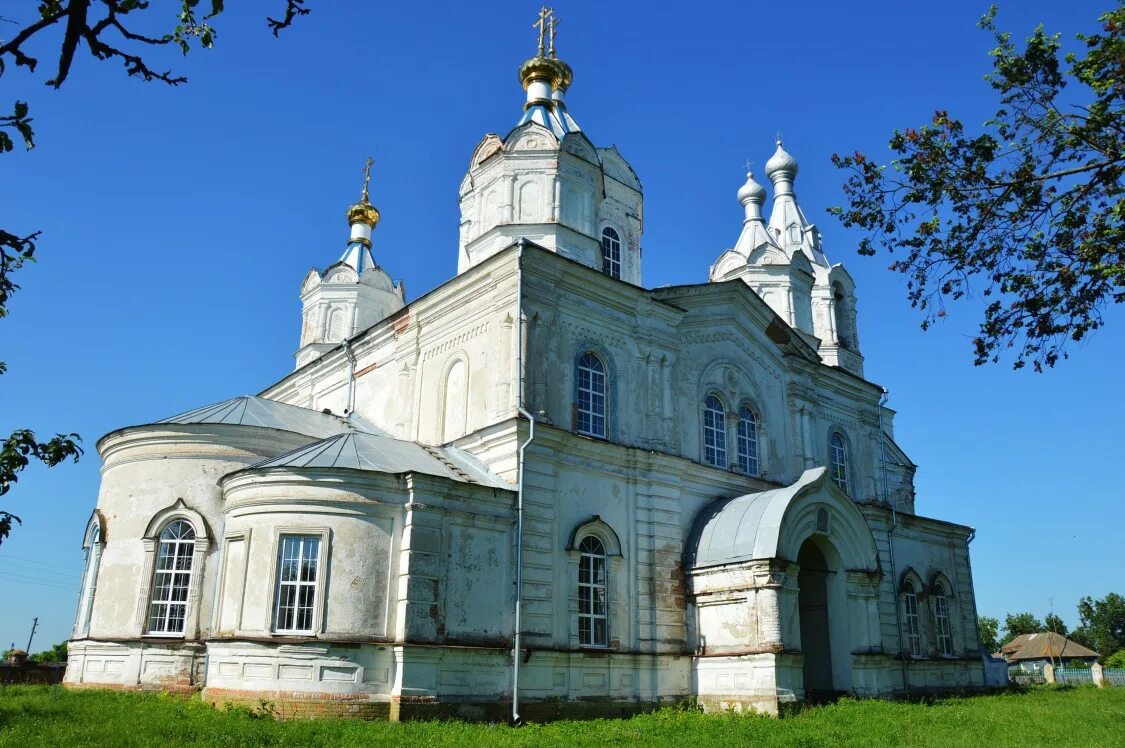 Погода село борки. Село Борки Курская область Суджанский район. Суджанский район село Борки храм. Храм в Борках Курской области Суджанский район. С Борки Суджанского района Курской области.