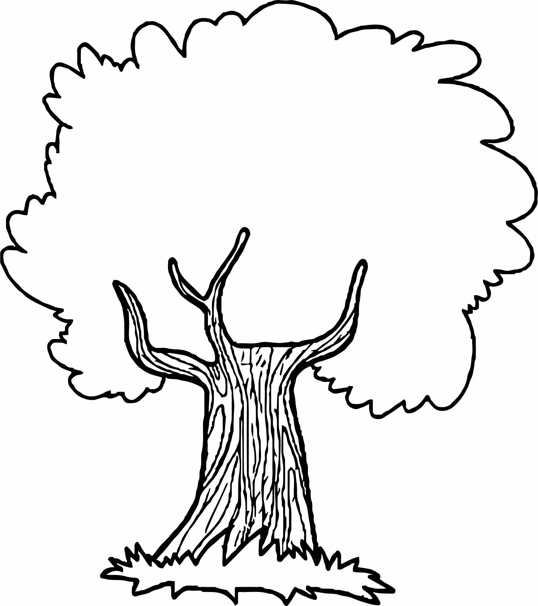 Дерево раскраска. Дерево раскраска для малышей. Дуб раскраска для детей. Дерево контур. Дерево на 4 листа а4