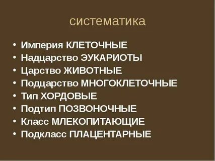 Надцарство в систематике