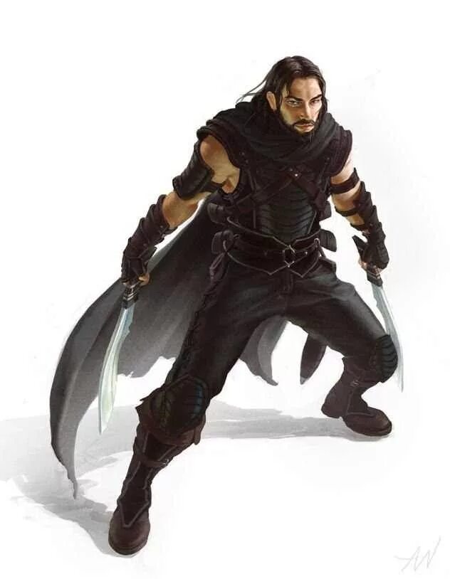 Плут д. Pathfinder rogue. плут днд арт. dnd плут арт. dnd ассасин.