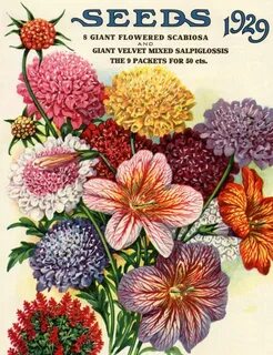 Flower catalog