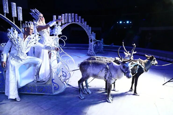 артисты цирка гии эрадзе бурлеск. цирк екатеринбург афиша. цирк гии эрадзе новогодний. шоу бурлеск в цирке. новогоднее представление екатеринбургский цирк.