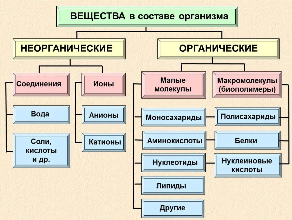 Неорганические живые клетки. Органические соединения входящие в состав живых организмов. Вещества в составе организмов органические и неорганические. Вещества входящие в состав живых организмов. Неорганические вещества входящие в состав живых организмов.