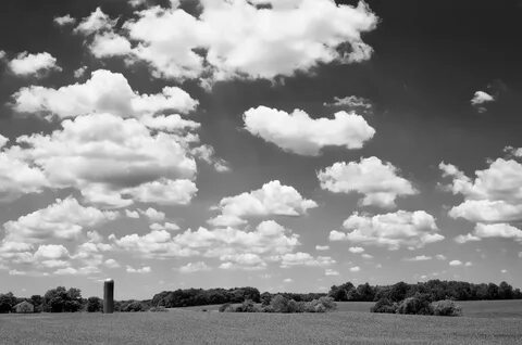 Sky белая