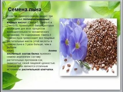 Чем полезен семена льна для женщин организма