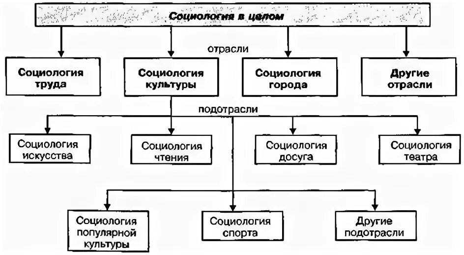 Отрасли социологии