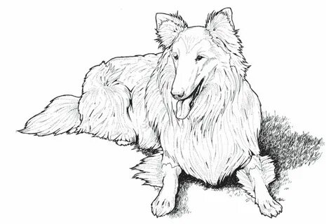 Рисунок коли