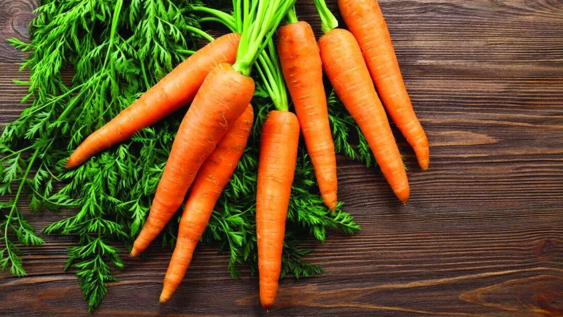 Морковная ботва. Морковь паттерн. Ботва. Съедобная ботва моркови. Морковь зелень.