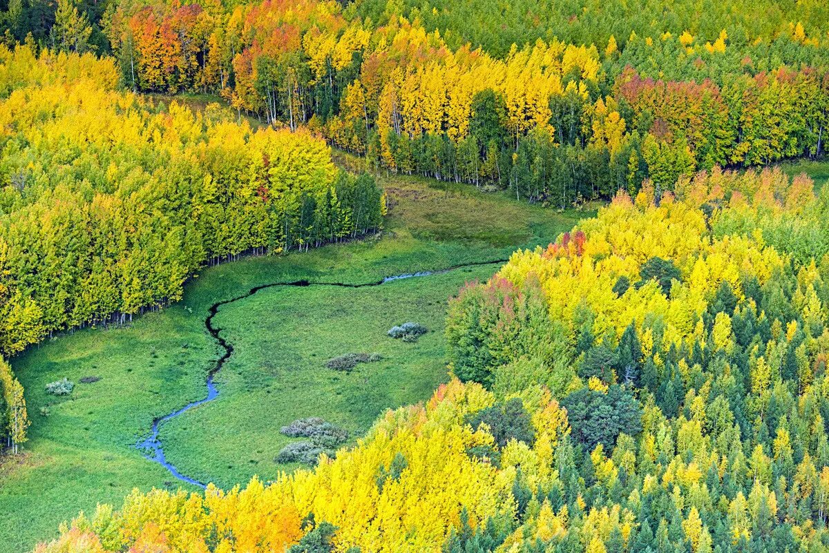 Лес огромное богатство