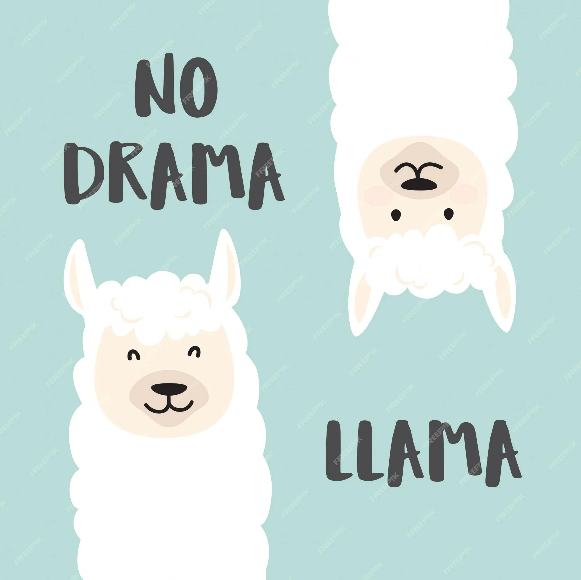 Лама ноу драма рисунок. Лама слоган no drama. No drama llama картинка. Drama llama. Ноу лама ноу драма.