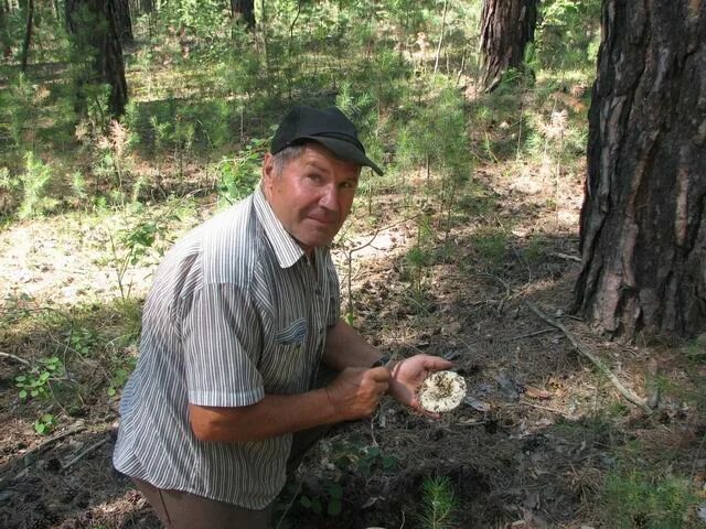 Березовка Тюменцевский район Алтайский край. Шарчино Алтайский край Тюменцевский район. Тюменцевский район село Березовка. Андроново Алтайский край Тюменцевский район. Березовка тюменцевский алтайский край