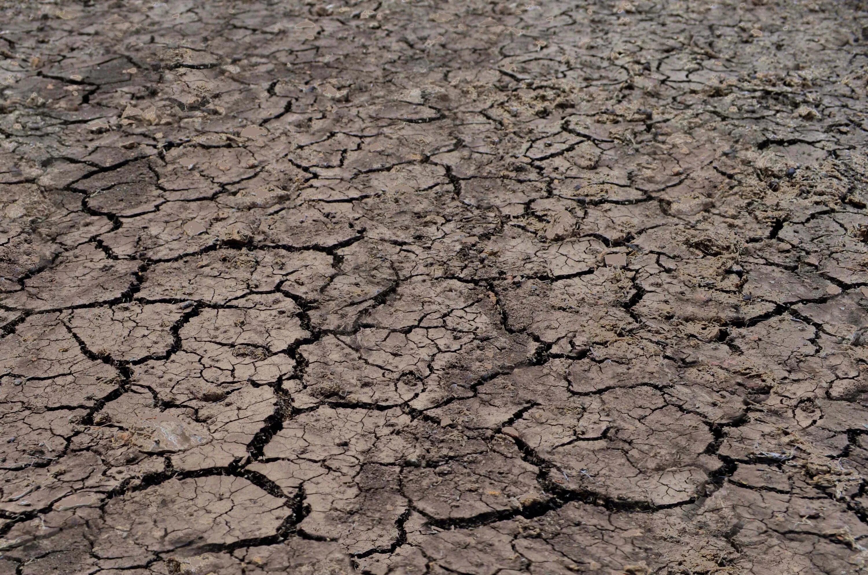 текстура земли. потресканная земля в пустыне. долина смерти солончак бэдуотер. сухая площадь земли. почва.