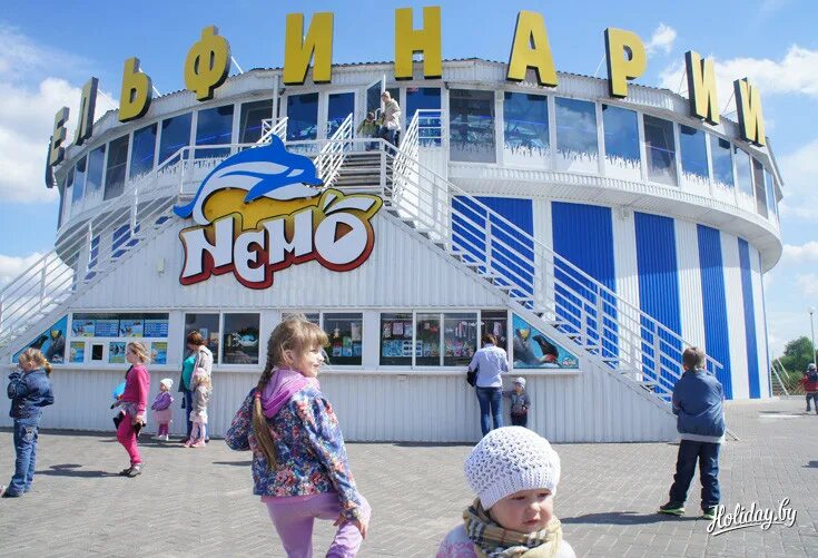 Зачем Минску сразу четыре дельфинария?