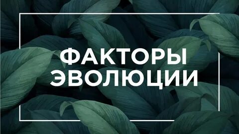 Факторы эволюции егэ биология