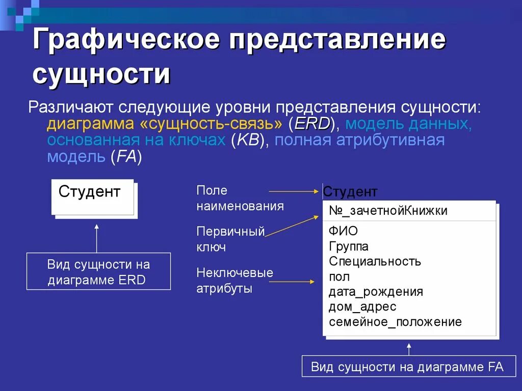 Моделирование сущность связь. Графическое представление зависимой сущности. информационные моделирование графические представления. диаграмма сущность-связь. полная атрибутивная модель.