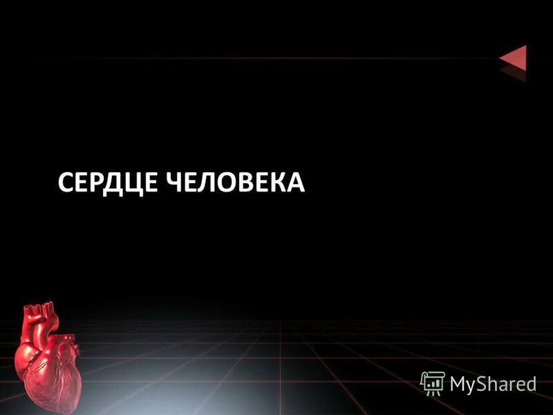 память об учителе в сердцах. биология для детей. учительское сердце. стихи про сердце учителя. анатомия сердца плакат.