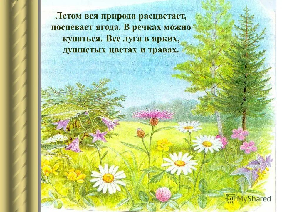 Сочинение на тему времена года лето. Рассказ о лете. Предложения о лете. Лето описание природы. 3 Предложения о лете.