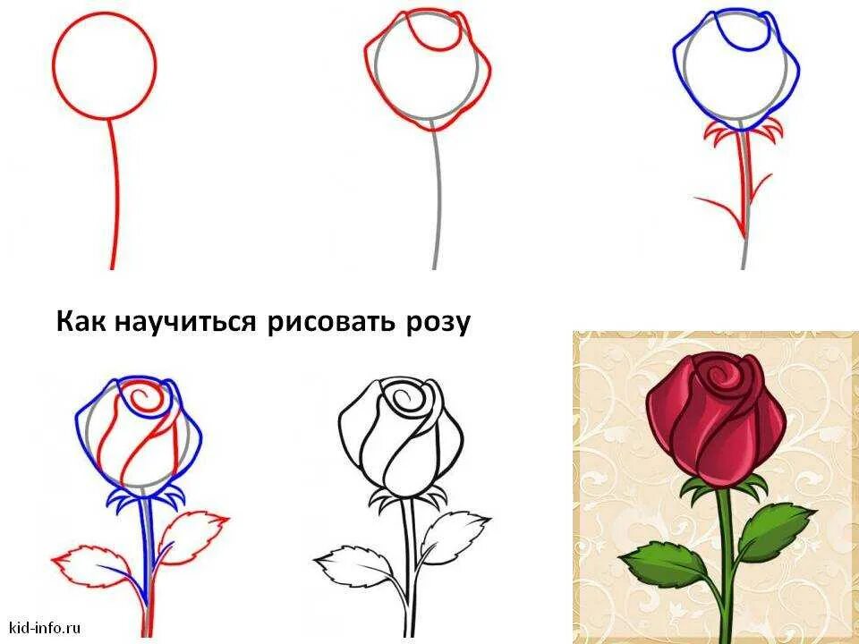 Поэтапное рисование розы. Рисунки розы карандашом для начинающих. Как нарисовать розу поэтапно карандашом. Покажи как поэтапно нарисовать