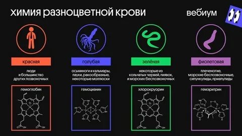 Гемоцианин