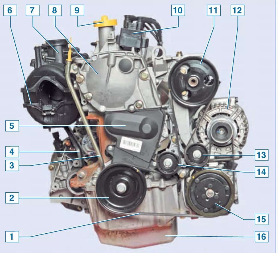 Сколько ремней в двигателе. Ремень генератора Рено Логан 1.6 16 клапанов. Ремень генератора Рено к7м. Ремень генератора Renault Logan 1.4. Ремень генератора Рено Логан 1.4.