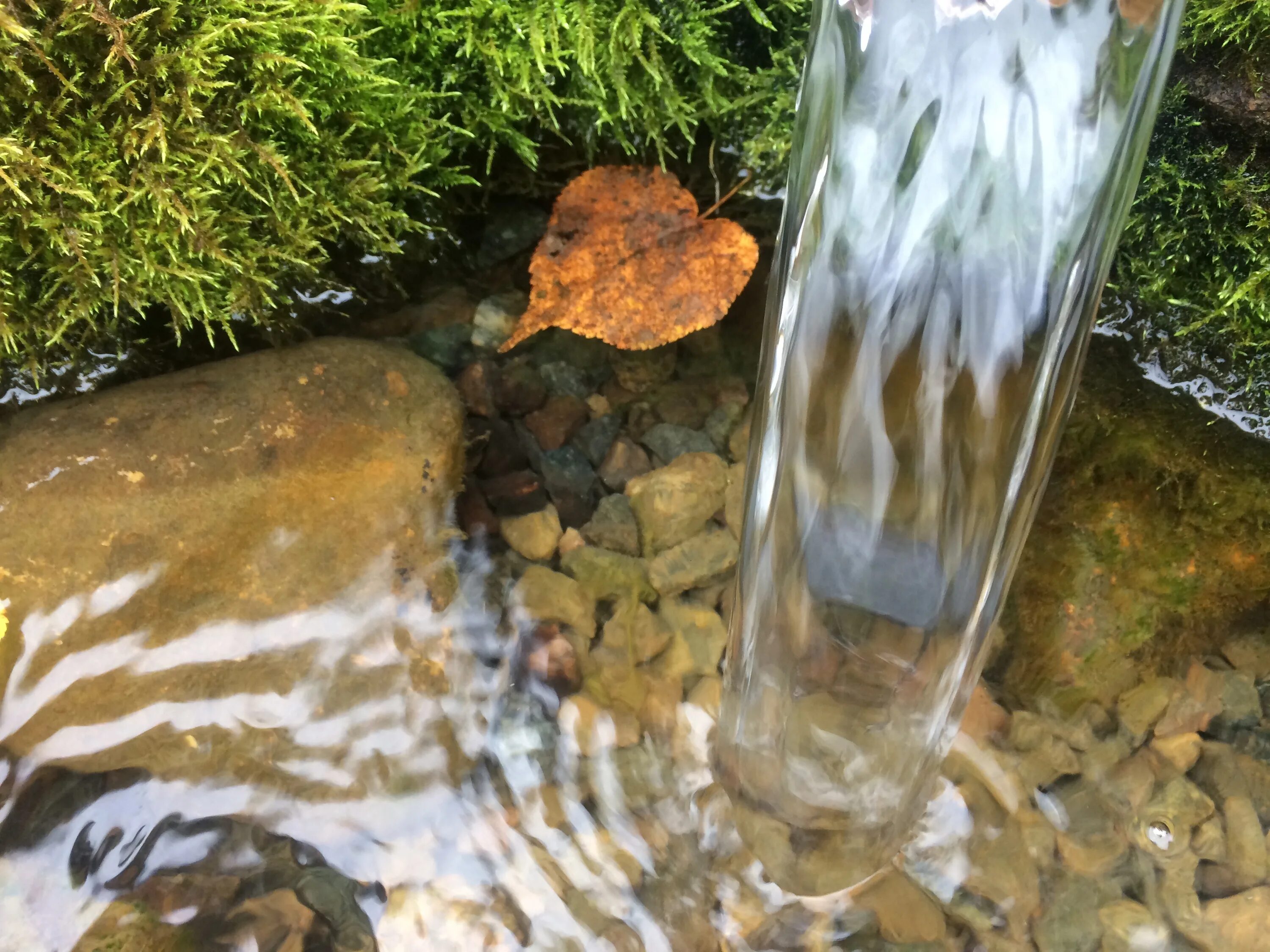 Подземные источники питьевой воды. Вода из природных источников. Сон родниковая вода. Питьевая вода родниковая. Питьевой родник.