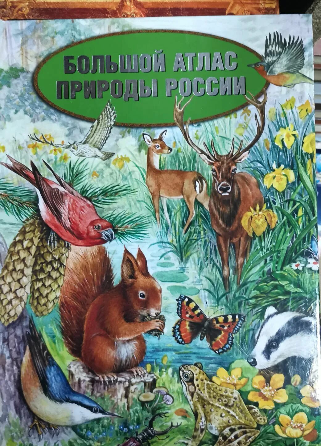 Акция атлас природы пост. Большой атлас природы. атласы про природу книга.