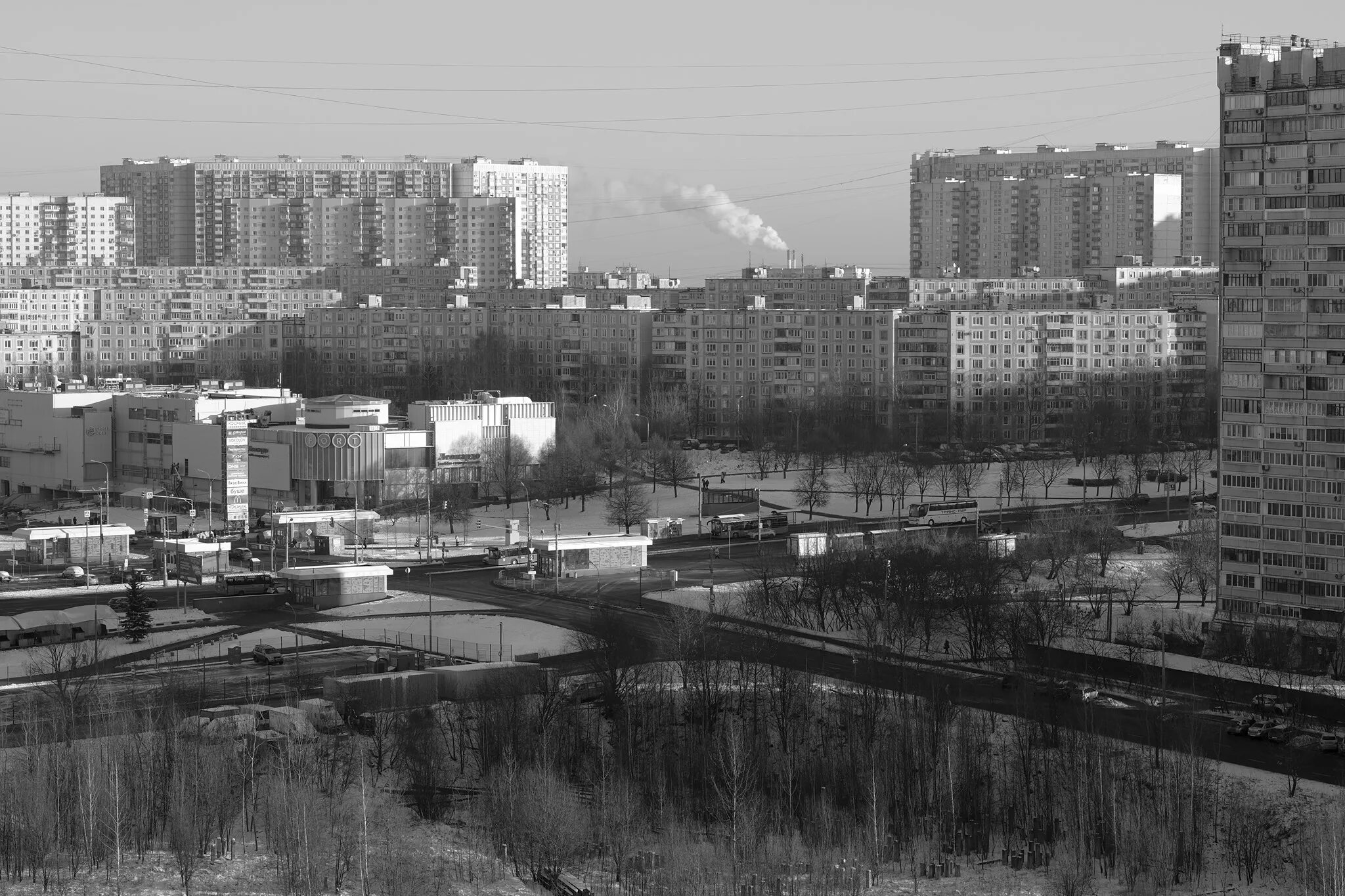 Ясенево найдено. Ясенево 2003. ясенево 2000 год. ясенево 1995 год. ясенево 1990.