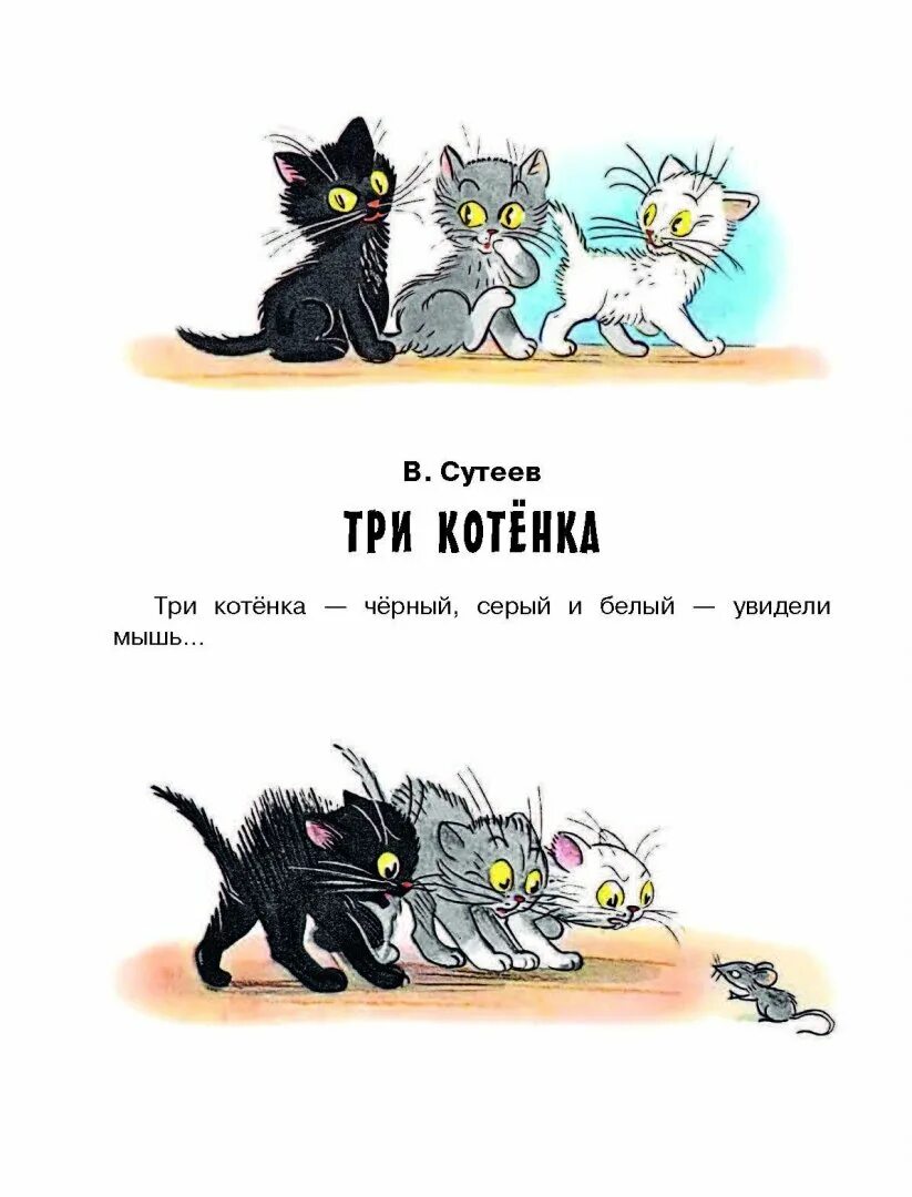 Котенок том читать. Книга Сутеев три котенка. Иллюстрации Сутеева к сказкам Маршака. Сказка про трех котят белый серый и черный. Три котёнка чёрный серый.