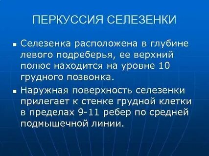 Перкуссия селезенки