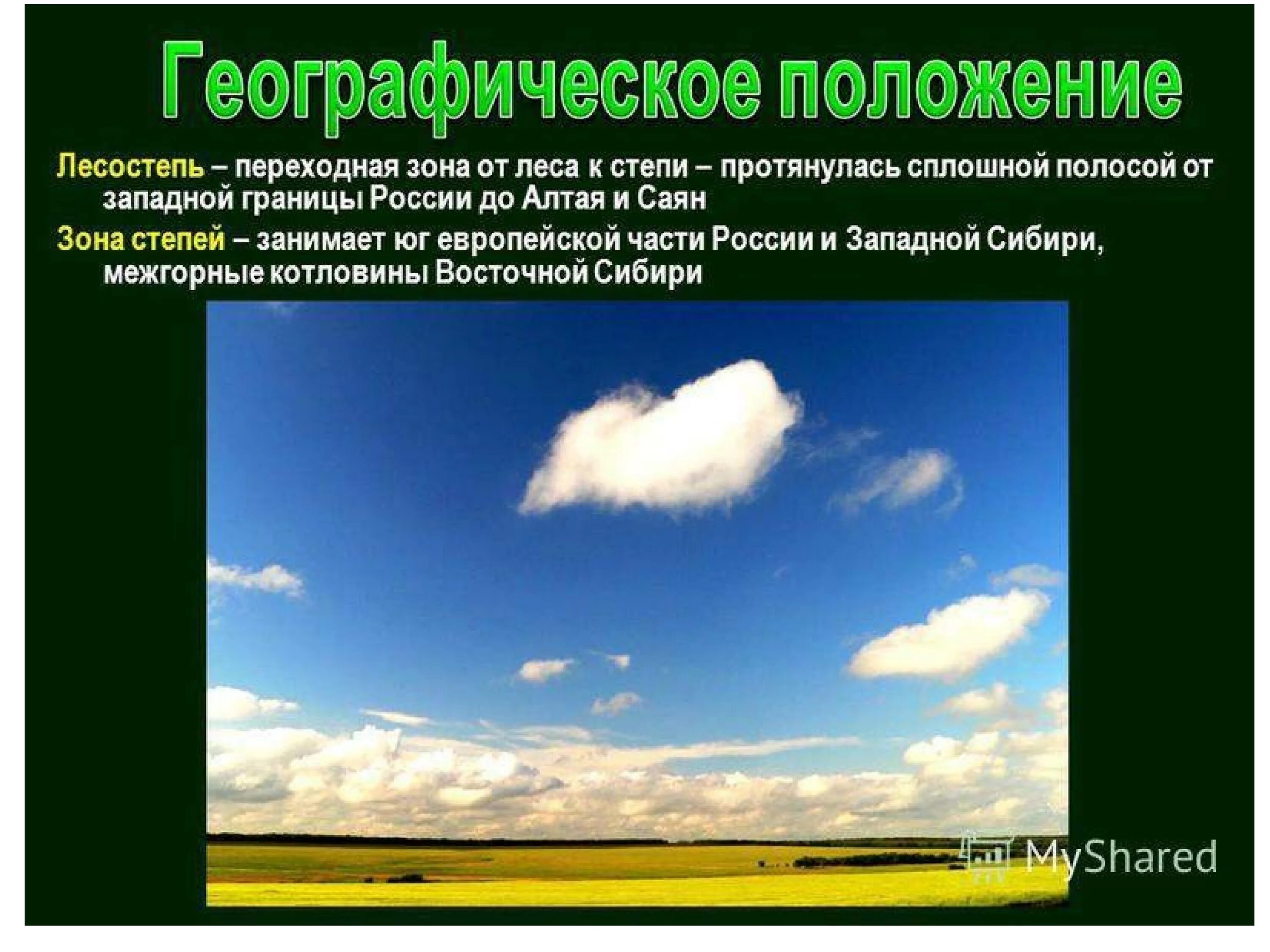 Степи и лесостепи Евразии. Географическое положение лесостепи. Лесостепи и степи географическое положение. Расположение степей и лесостепей в России.