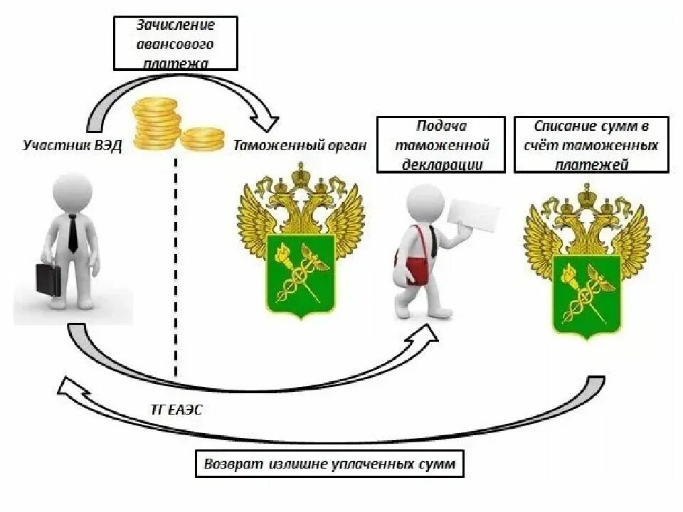 Таможенные платежи. Схема взаимодействия таможенных органов. Взаимодействие таможенных органов и участников ВЭД схема. Взаимодействие таможенных органов и участников ВЭД. Взаимоотношения таможенных органов с участниками ВЭД..