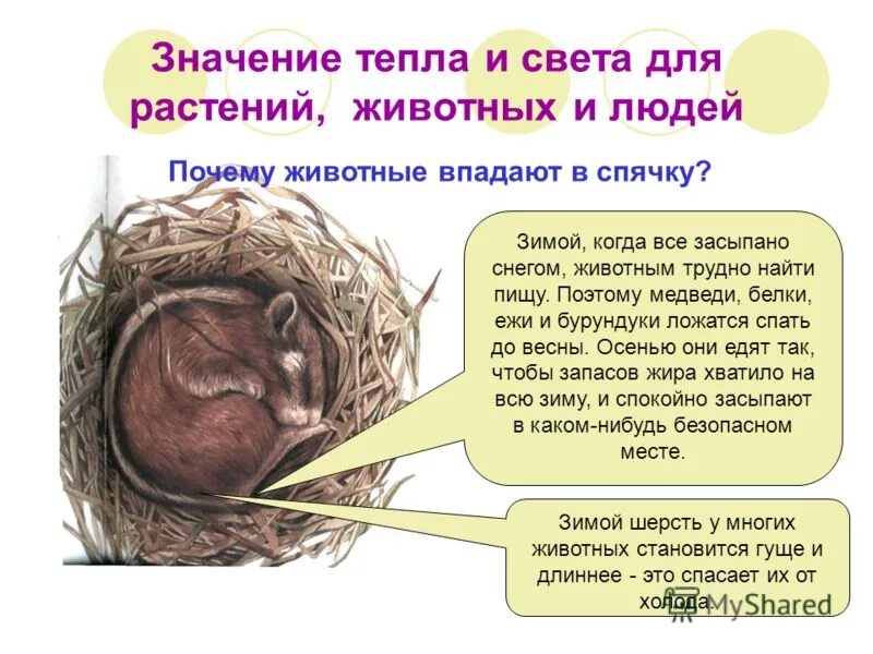 лексическое значение слова тепло. что означает теплый человек. что означает теплый человек. тепло значение. что означает теплый человек.