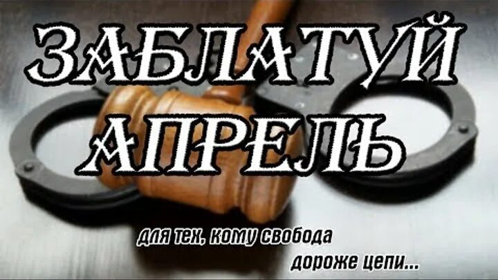 Заблатуй ты апрель. Климнюк новосибирский клипы. Песня заблатуй апрель. Климнюк апрель. Заблатуй ты апрель.