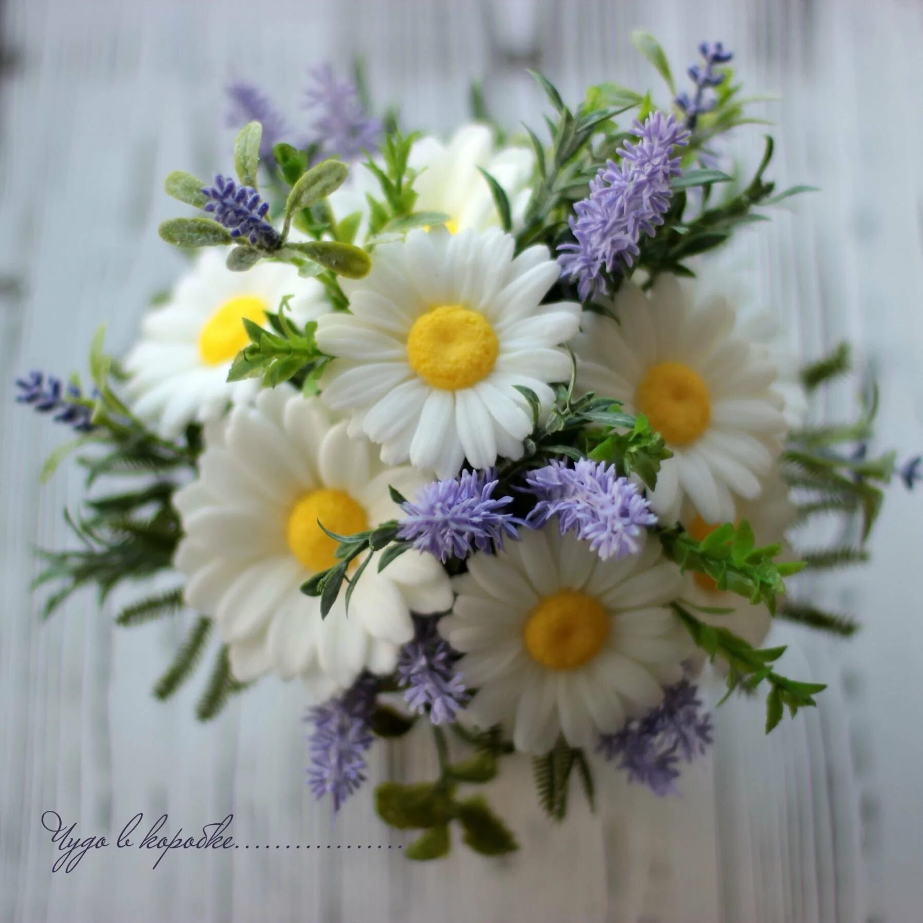 Ромашка и лаванда букет. Цветы ромашки и лаванда. Ромашка и лаванда букет. Ромашка. Lavender chamomile.