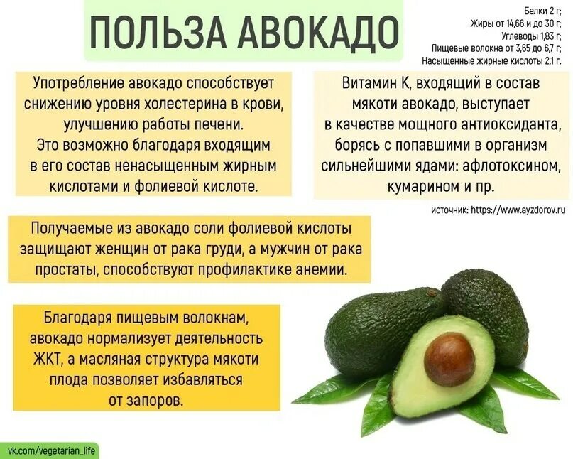 Какие жиры в авокадо. Авокадо витамины. Авокадо полезные жиры. Авокадо - источник полезных жиров. Строение авокадо.