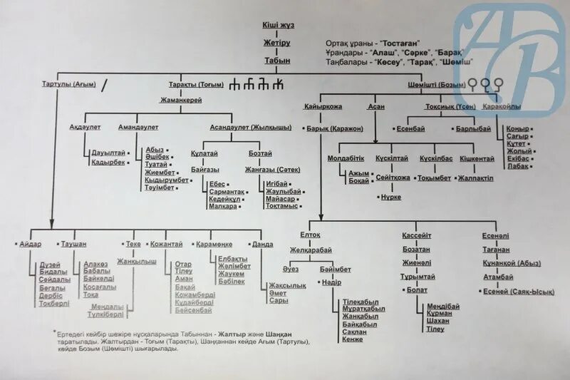 Кіші жүз ханы. Родословная казахов среднего жуза Найман. Род Табын у казахов. Родовое Древо казахов. Родословное дерево казах.