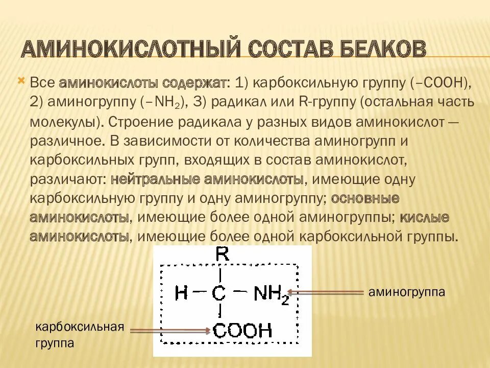 Состав белка элементы. Аминокислоты входящие в состав белков их строение. белок источник аминокислот. строение белка аминогруппа радикал карбоксильная. строение аминокислот входящих в состав белков биохимия.