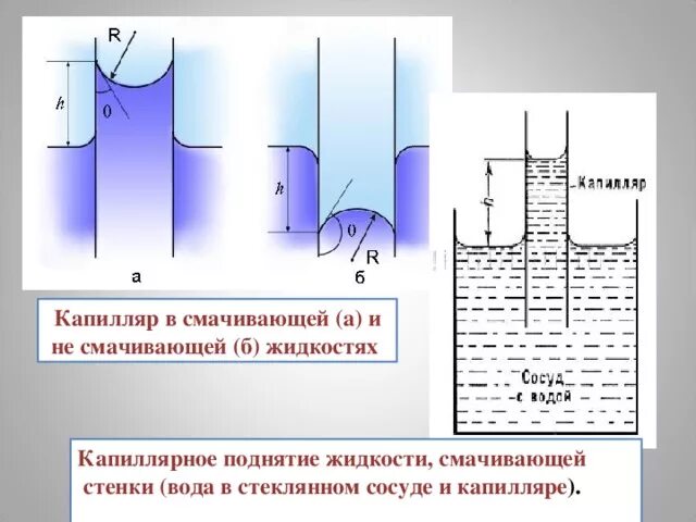 Жидкость капиллярное явление. Смачивающая жидкость в капилляре. Капиллярные явления в жидкости. Капилляр в смачивающей (а) и не смачивающей (б) жидкостях. Капиллярное поднятие жидкости.