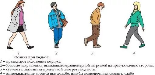 Как правильно ходить мужчине. Осанка при ходьбе. Типы походок у человека. Правильное положение при ходьбе. Правильная осанка при ходьбе.