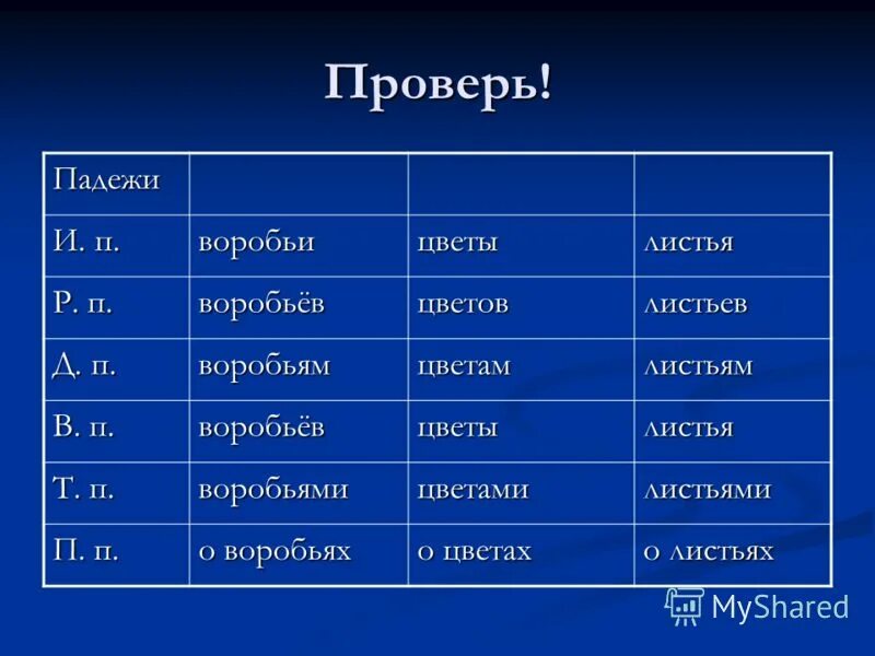 Таблица склонений имён существительных. Склонение имен существительных множественного числа по падежам. Окончание имён прилагательных по падежам таблица. Какое склонение у слова листьев. Склонения имя существительное во множественном числе.