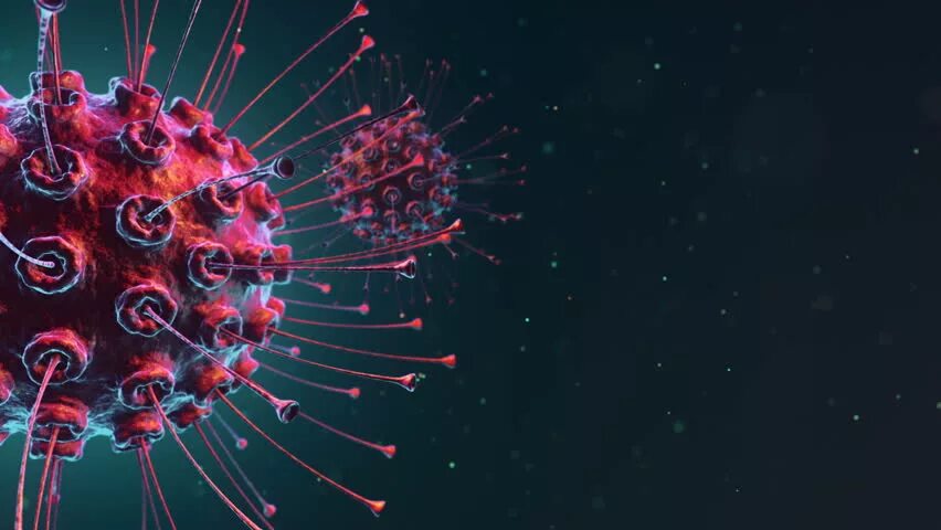 Вирусы споры. Вирусы споры. Вирус зеленый. Патогенные микроорганизмы или их споры. Вирусы споры.